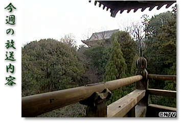 今週の放送内容