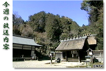 今週の放送内容