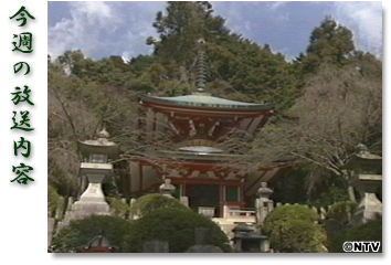 今週の放送内容
