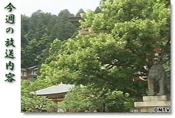 今週の放送内容