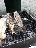 20141001_132001 (2).jpg