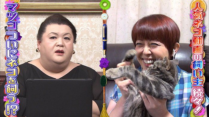 Snsやyoutubeで話題 猫動画で人生が激変 人気ネコの飼い主さんたちと中継 マツコ会議 日本テレビ