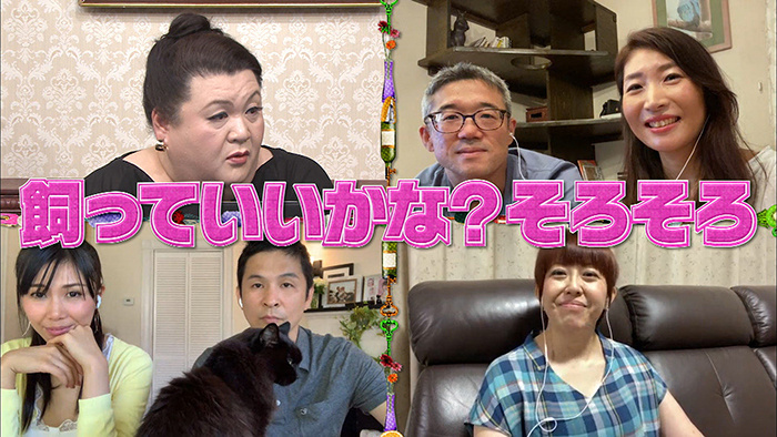 マツコ ネコのためのマイホームを妄想 2軒買って 渡り廊下で結ぶ マツコ会議 日本テレビ