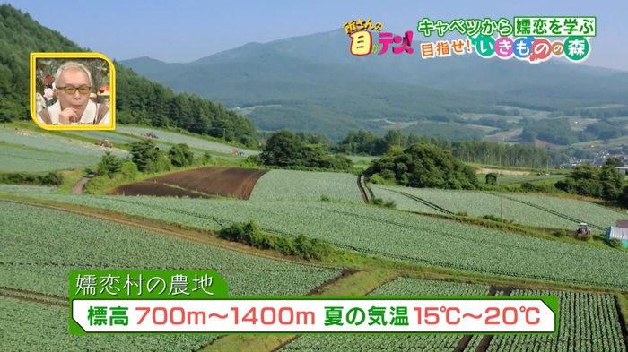 群馬県嬬恋村・いきものの森の歴史に迫る！記録が残っていない森の成り立ちを調査【2023/12/10 所さんの目がテン！】｜所さんの目がテン！｜日本テレビ