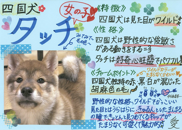 藤岡弘 さんご一家の 天然記念物 日本犬を育てる I Love みんなのどうぶつ園 日本テレビ