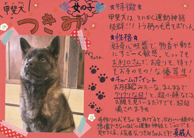藤岡弘 さんご一家の 天然記念物 日本犬を育てる I Love みんなのどうぶつ園 日本テレビ