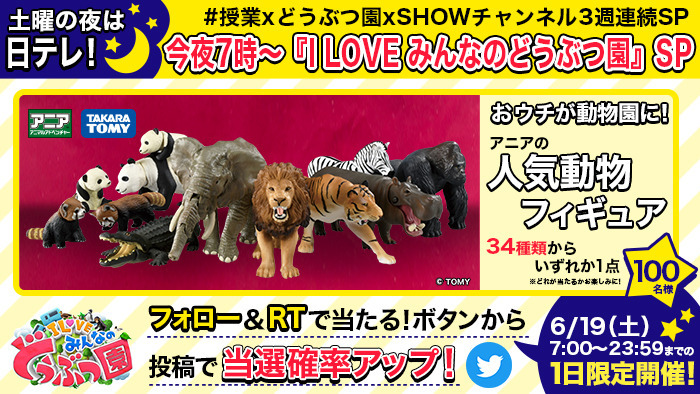 I Love みんなのどうぶつ園 相葉雅紀が12年ぶりにあの動物園へ プレゼントキャンペーンも実施 I Love みんなのどうぶつ園 日本テレビ