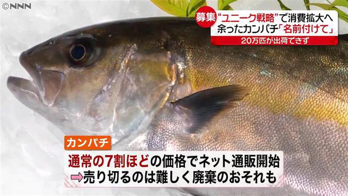 ２０万匹のカンパチの行き場なし 新型コロナで 魚余り 漁師らがユニークな取り組み 新型コロナウイルスと私たちの暮らし 日テレ特設サイト 日本テレビ