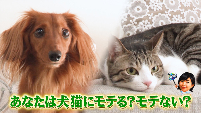 4月17日の 世界一受けたい授業 は 動物に好かれる極意 不登校という生き方を紹介 世界一受けたい授業 日本テレビ