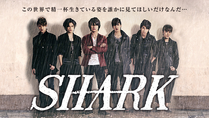 ストーリー Shark 日本テレビ