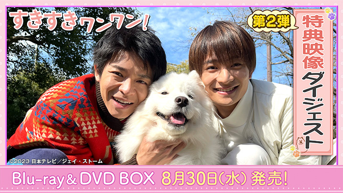 岸優太 ドラマ「すきすきワンワン！」DVD BOX （初回プレス） - TVドラマ