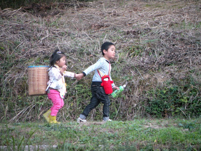 花江夏樹 はじめてのおつかい にナレーションで初参戦 成長した子供達の姿に涙 日テレtopics 日本テレビ