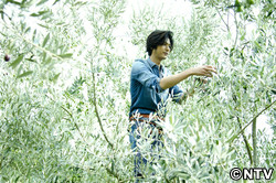 特別編「オリジナルオリーブオイル完成 その1」